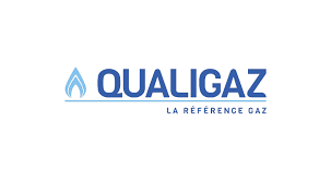 Quali logo